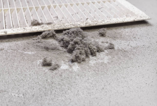 Best Air Duct Mold Removal  in Nashua, NH
