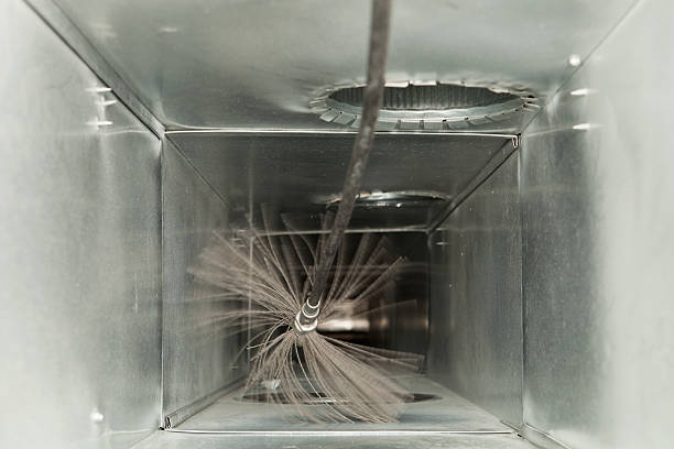 Best Air Duct Mold Removal  in Nashua, NH